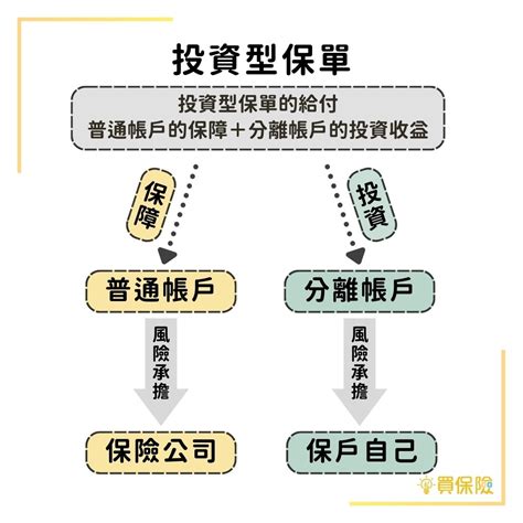 投資型保單甲乙丙丁戊|2024 投資型保單介紹｜投資＋保障，投資型保單的常 